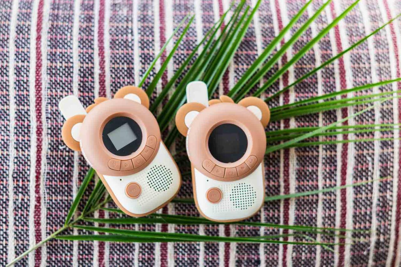 The Zoofamily Walkie Talkie - Bär Bär