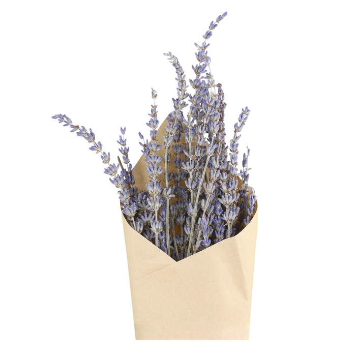Getrocknete Blumen - Lavendel