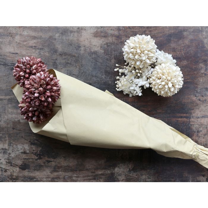 Getrocknete Blumen - Schneeball Blumen - Taupe
