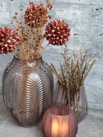 Getrocknete Blumen - Schneeball Blumen - Taupe