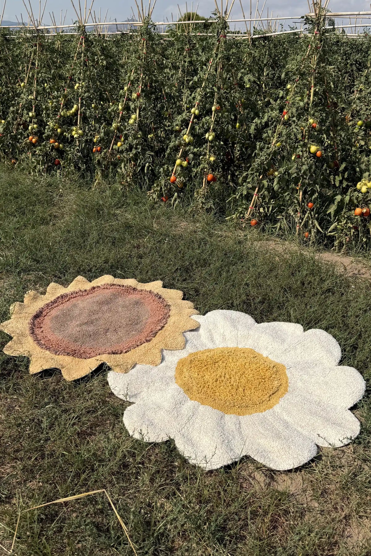Gänseblümchen Teppich – Natural, 120 cm