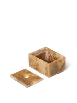 FermLiving - Mist Box