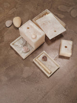 FermLiving - Mist Tray