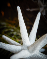 House Doctor - Weihnachtsschmuck, HDSpike, Weiss mit funkeln