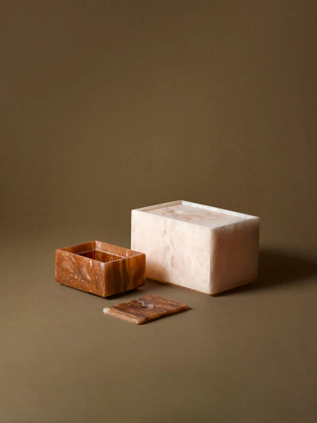 FermLiving - Mist Box