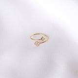 Victoire Collection Damenring aus Edelstahl – Verstellbar