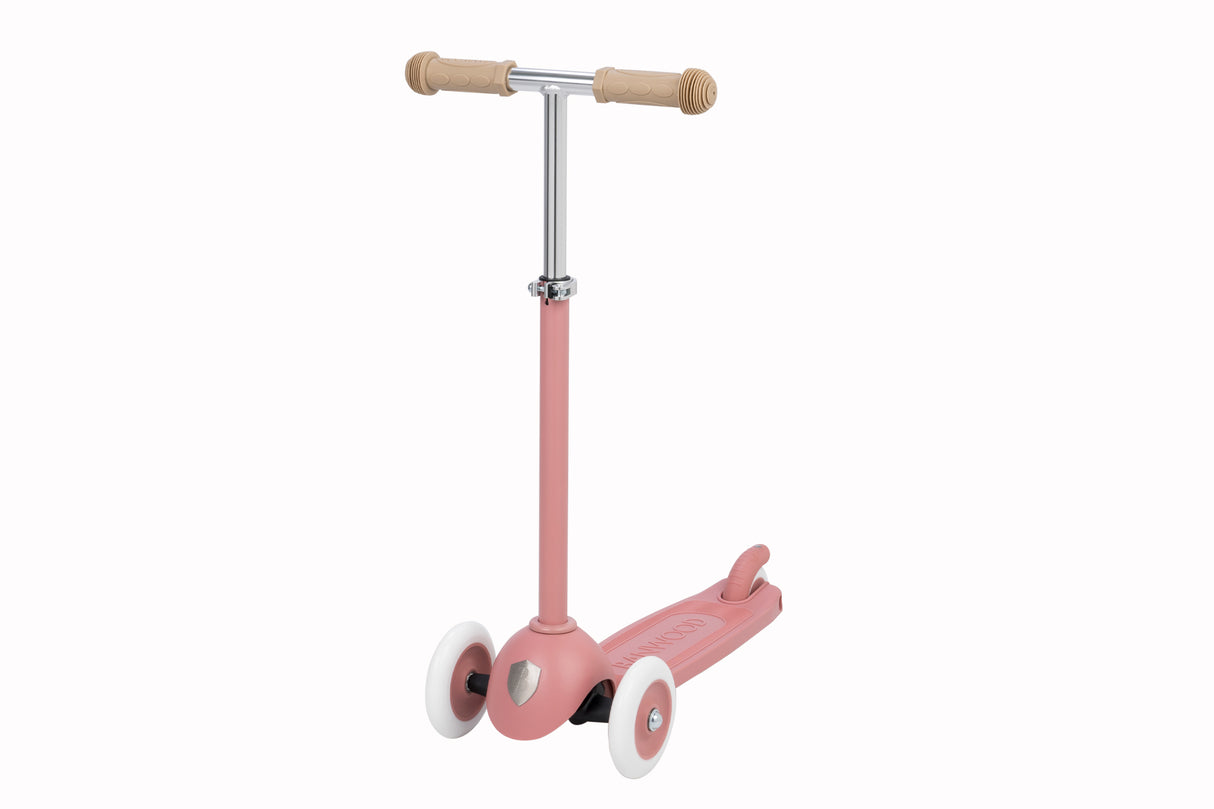 Banwood - ECO SCOOTER Rasperry