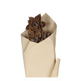 Getrocknete Blumen - Dahlien Mokka