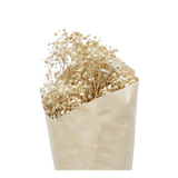 Getrocknete Blumen - Schleierkraut