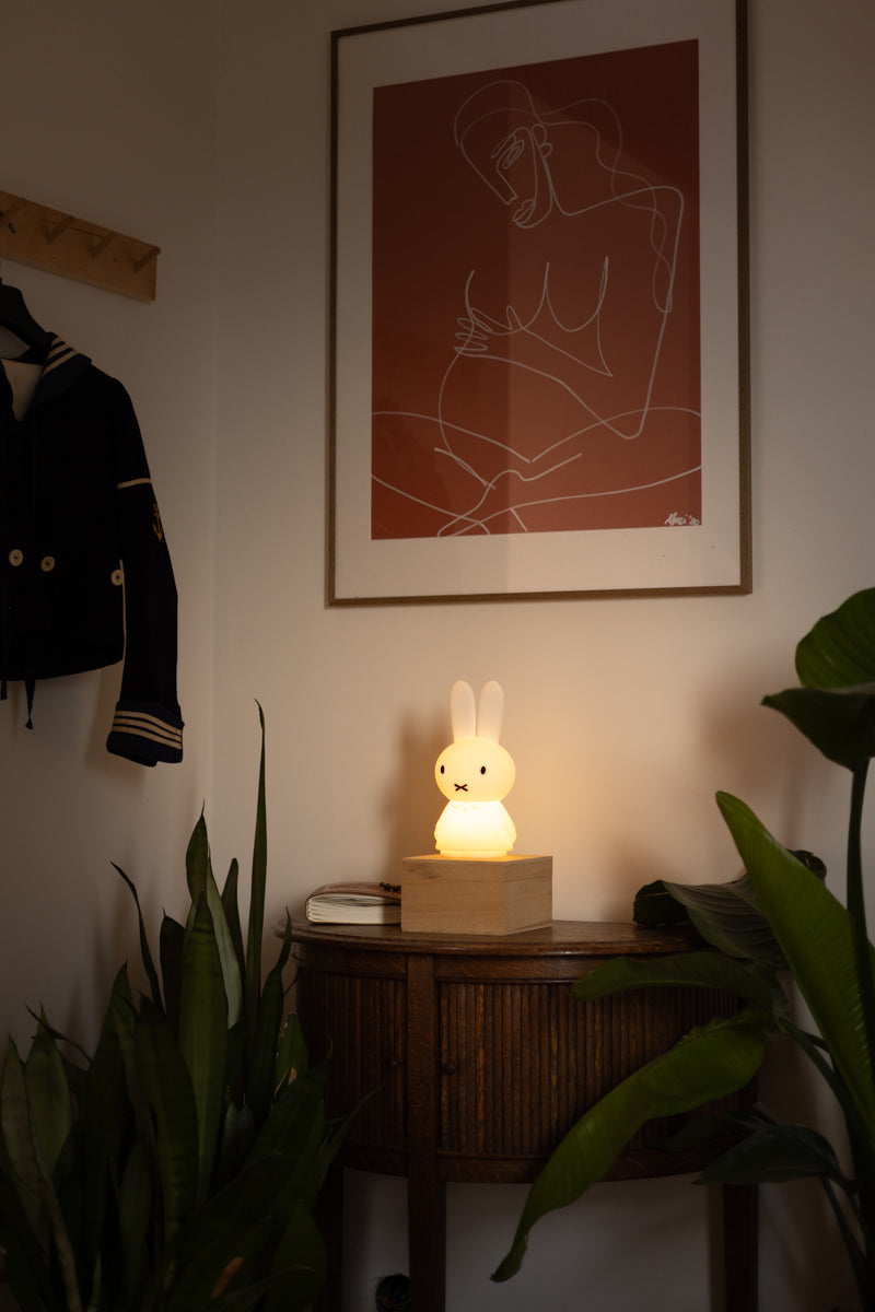 Mr. Maria Nachtlicht Miffy Shines