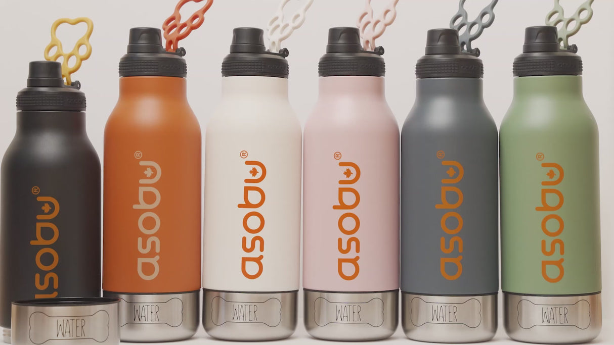ASOBU Buddy – 3-in-1 Trinkflasche für dich & deinen Hund